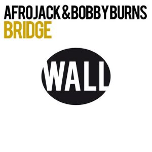 Afrojack Bridge